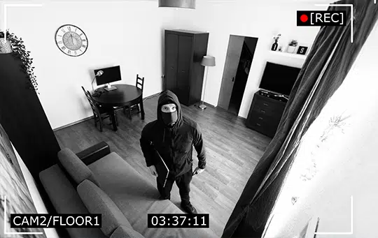 Visual Alarm Verification