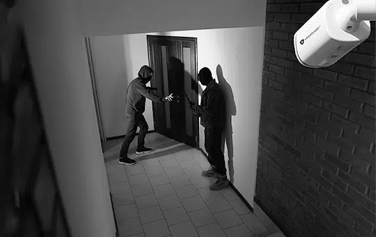 Visual Alarm Verification