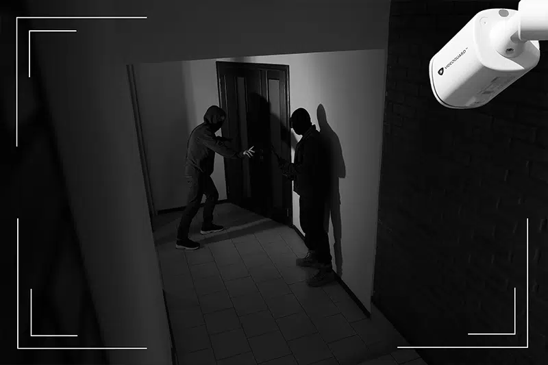 Visual Alarm Verification
